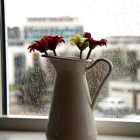 Bolholt * Reykjavík